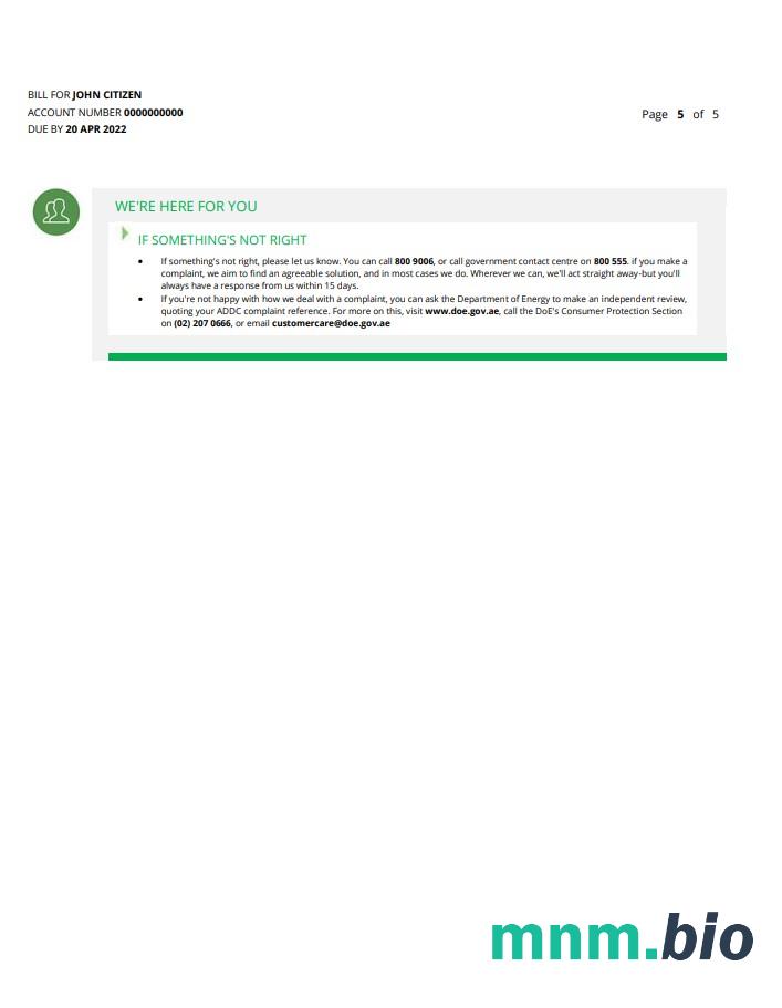 UAE Ajman Al Ain Distribution Co. Szablon rachunku za media Word i PDF (5 stron) 5